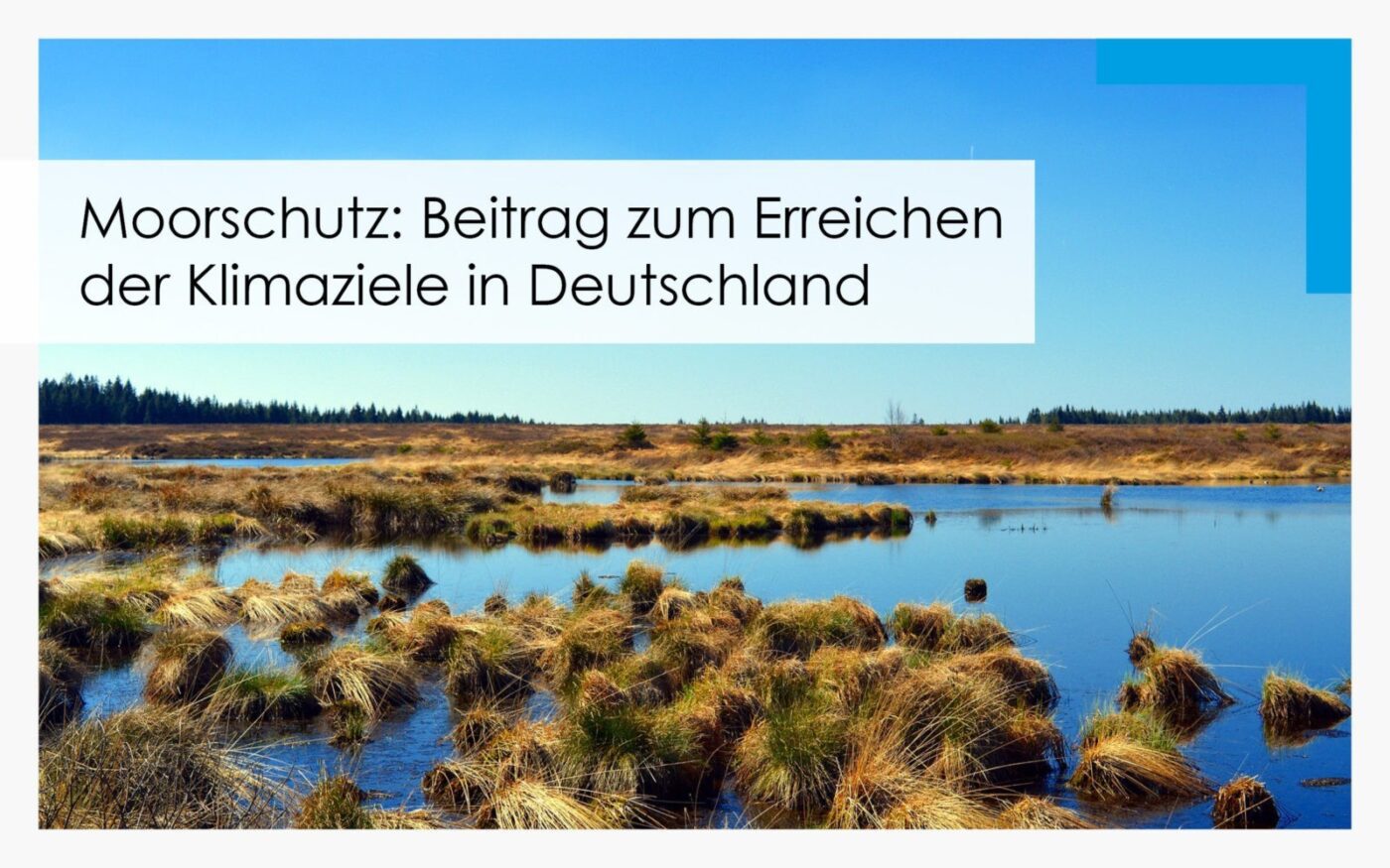 MuP_Moorschutz_Klimaschutz 2